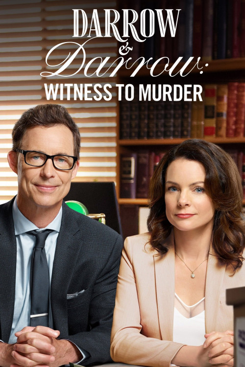 Witness to Murder: A Darrow mystery (2019) poster