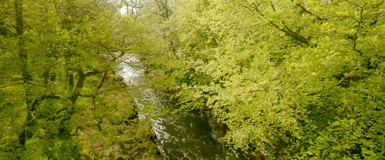 Dartmoor Killing screenshot 1