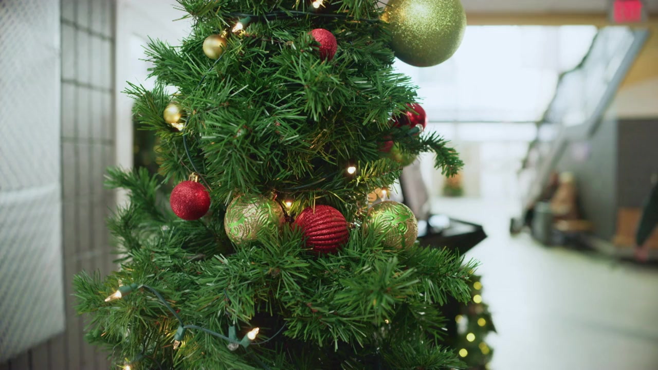 Dashing Home for Christmas screenshot 1