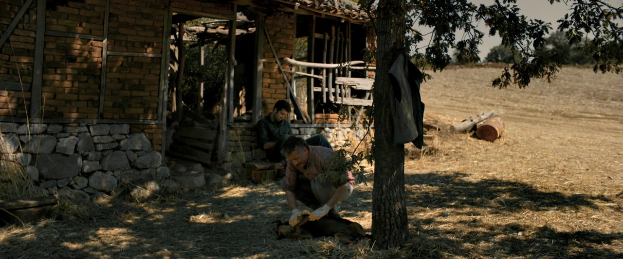 Ahlat Agaci screenshot 2
