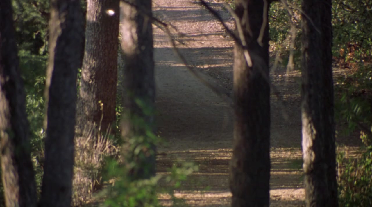 Determination of Death screenshot 3