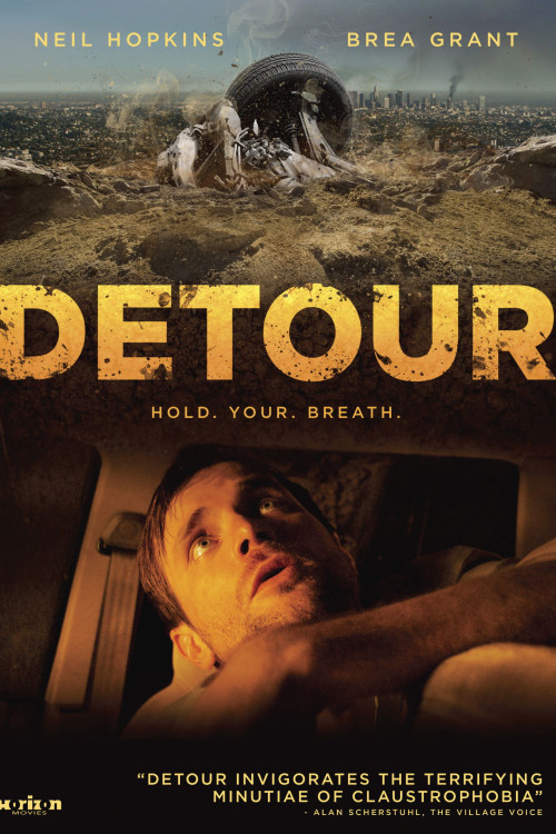 Detour (2013) poster