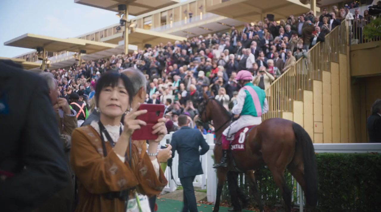 Dettori screenshot 1