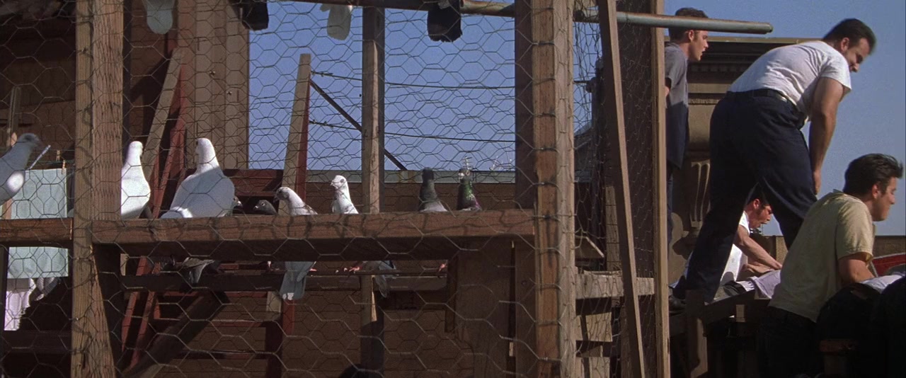 Deuces Wild screenshot 1