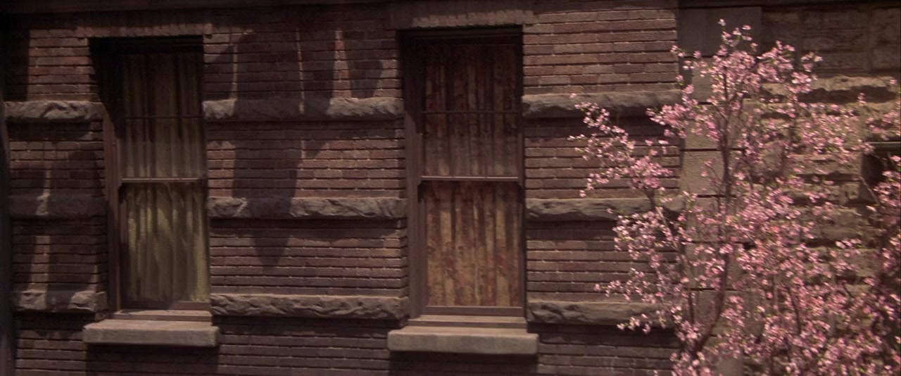 Deuces Wild screenshot 2
