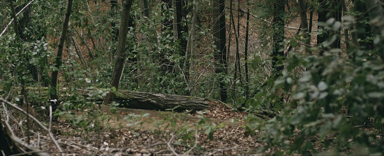 Devil's Path screenshot 1