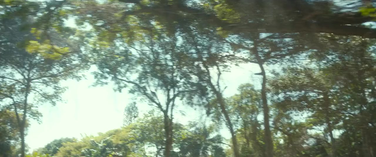 De Lo Mio screenshot 3