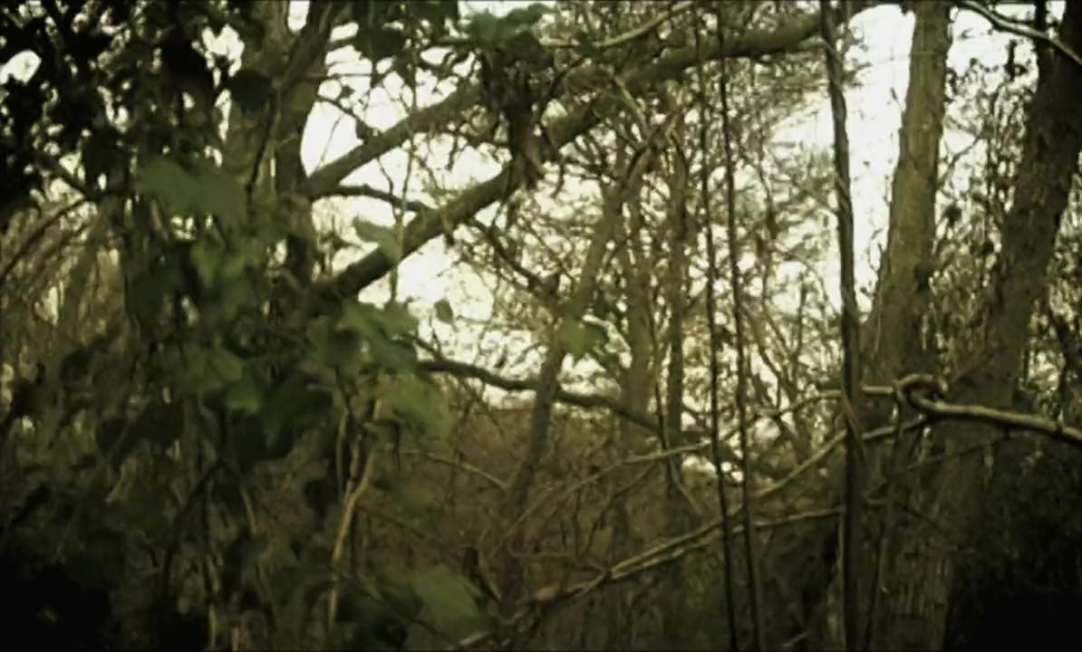 Dead Wood screenshot 1
