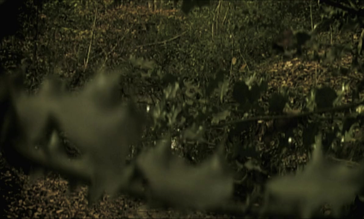 Dead Wood screenshot 3