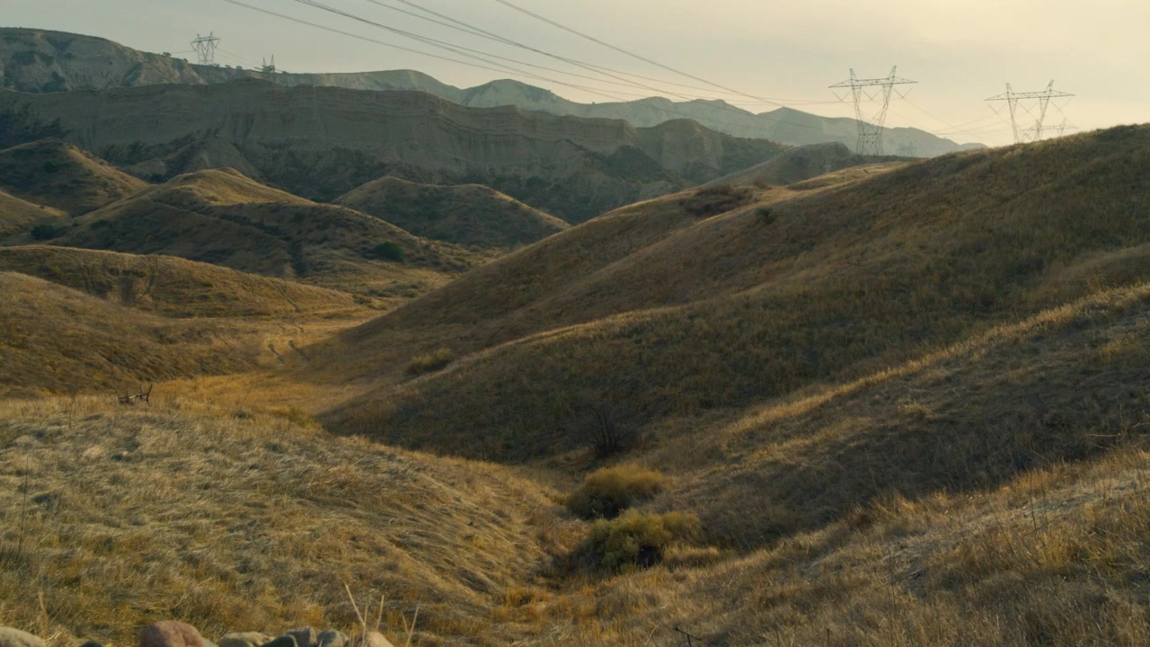 Dead Wrong screenshot 2