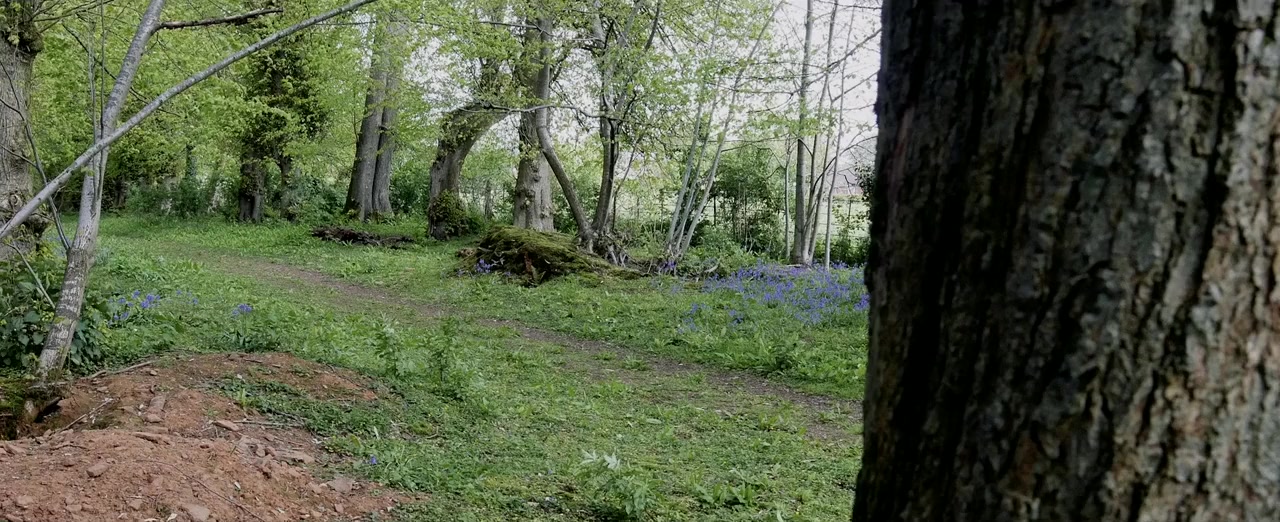 Dead Again screenshot 1
