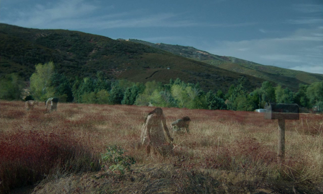 Dead Bloom screenshot 3