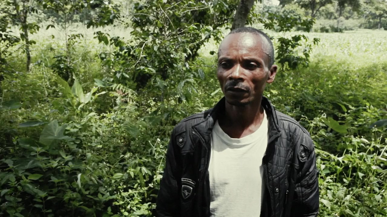 Dead Donkeys Fear No Hyenas screenshot 1