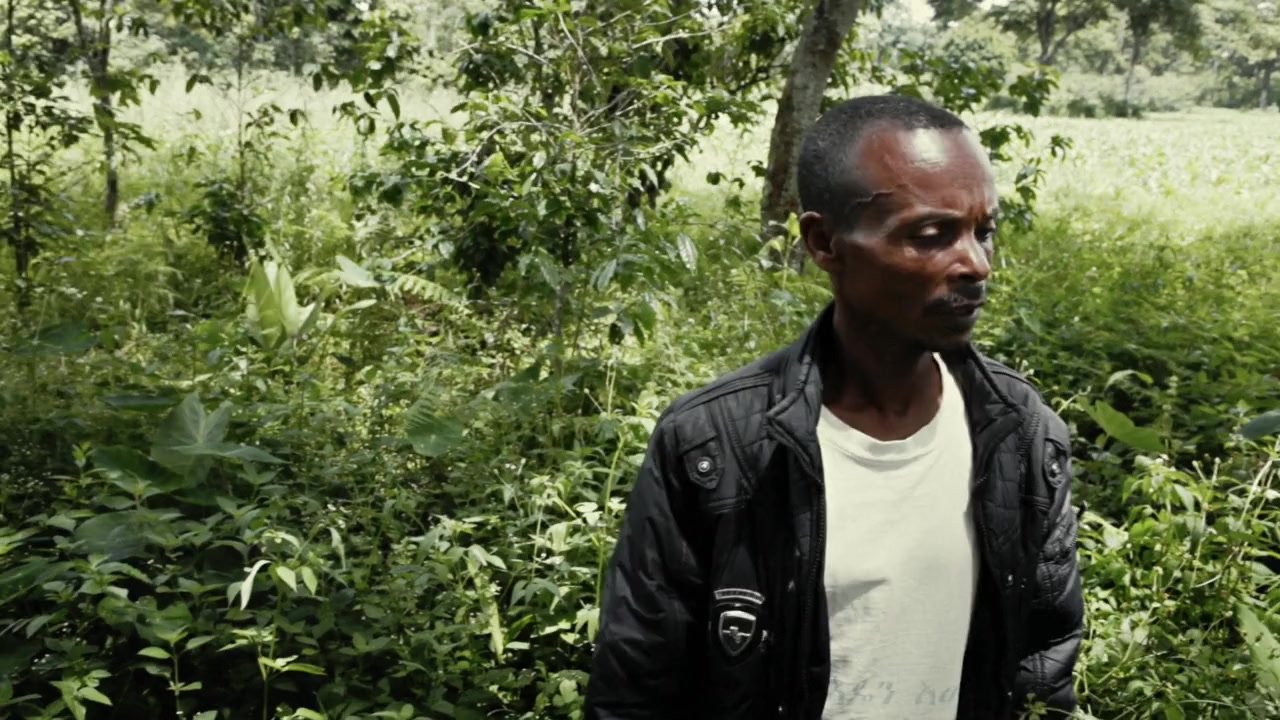 Dead Donkeys Fear No Hyenas screenshot 2