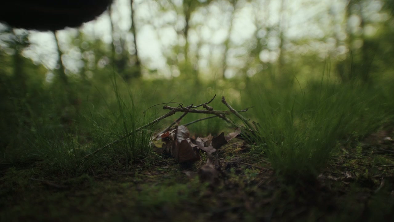 Dead Girl Summer screenshot 1