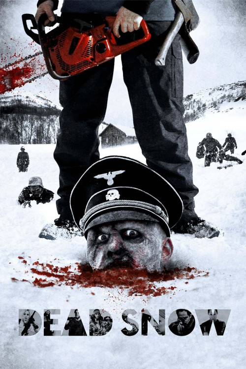 Død snø (2009) poster