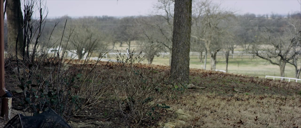 Dead Story screenshot 1