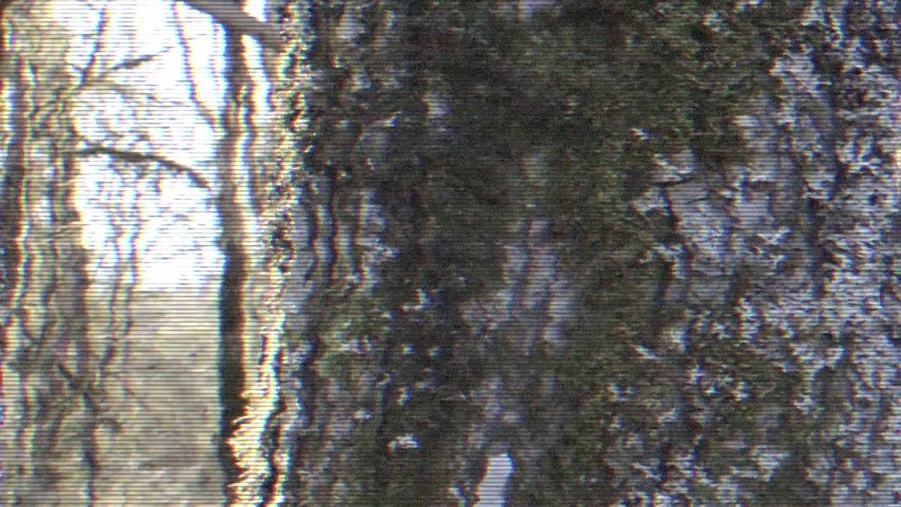 Deadly Culture: Final Mutation screenshot 1