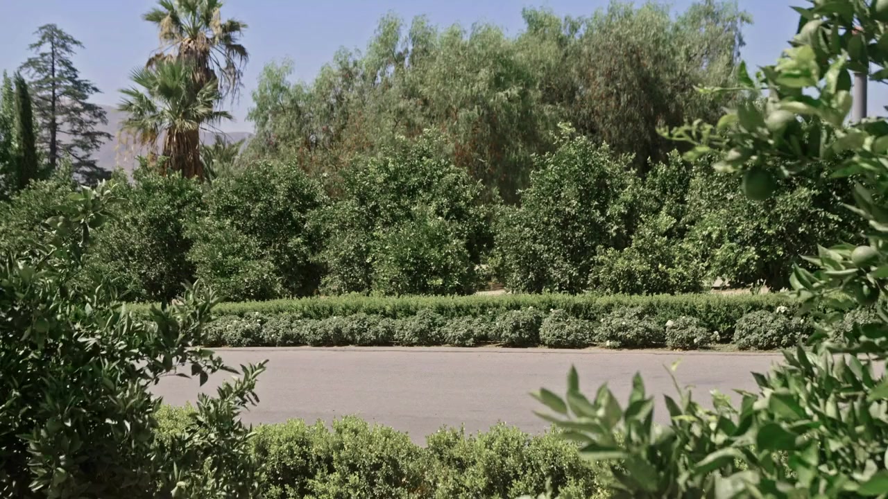 Home Invaders screenshot 1