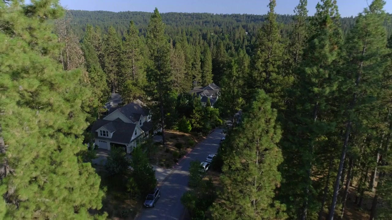 Home Invaders screenshot 3