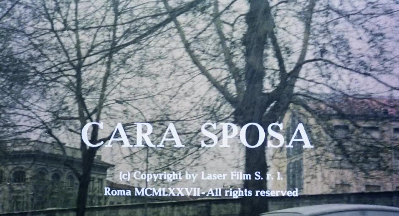 Cara sposa screenshot 3