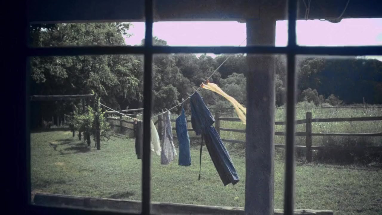 Dear Mr. Brody screenshot 1