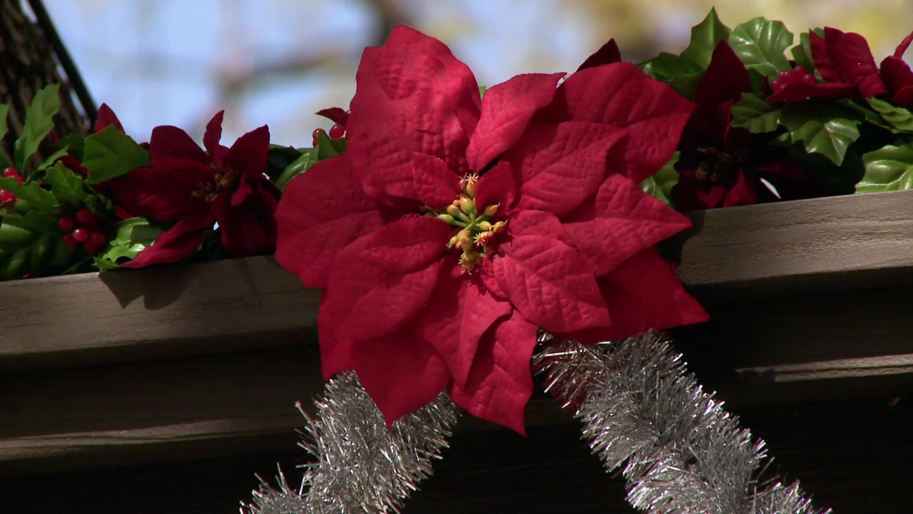 Dear Secret Santa screenshot 2