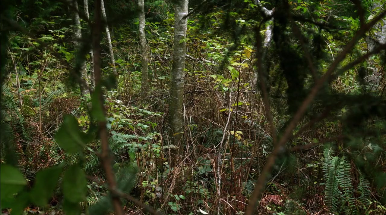 Death Do Us Part screenshot 1