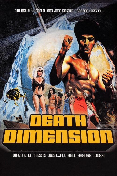 Death Dimension (1978) poster