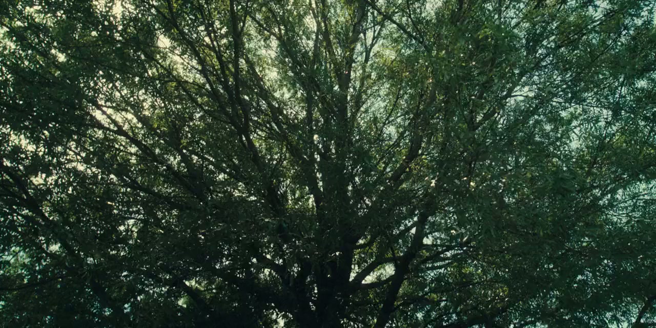 Death Name screenshot 1