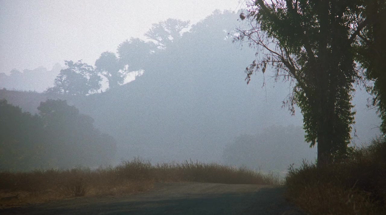 Death Ring screenshot 2
