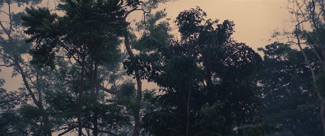 Tee yod screenshot 1