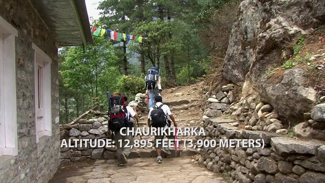Death Zone: Cleaning Mount Everest screenshot 1