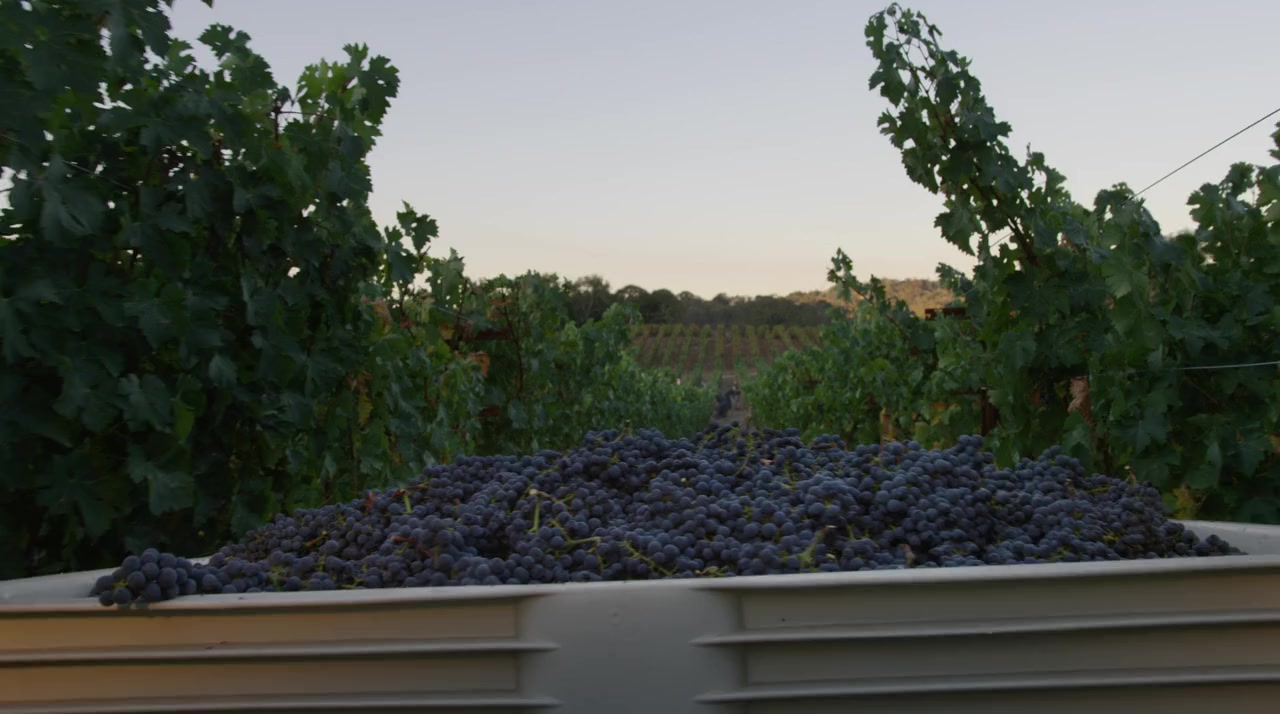 Decanted. screenshot 2