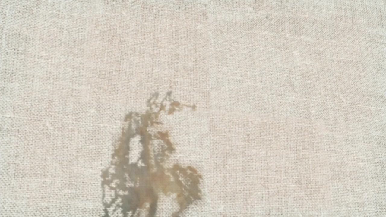 Decoding Turner screenshot 3