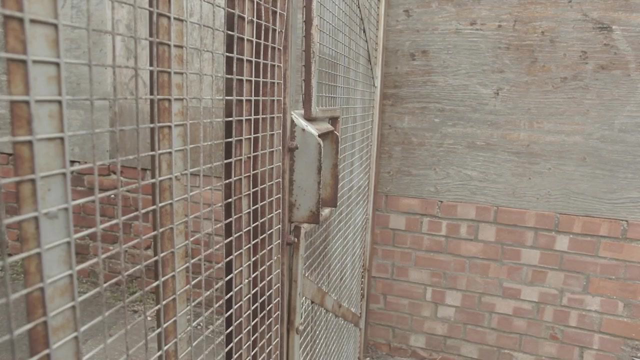 Decline screenshot 1