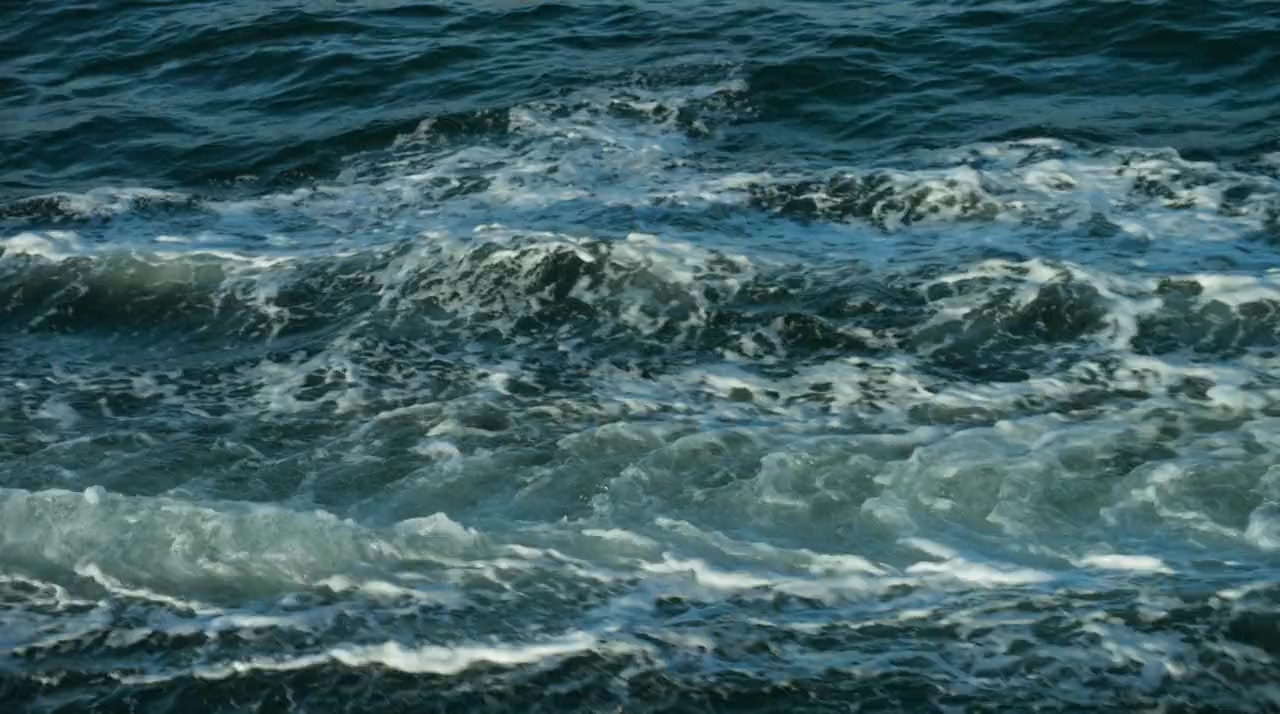 Deep Blue Sea 2 screenshot 1