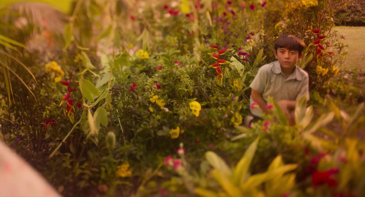Del Otro Lado Del Jardín screenshot 2