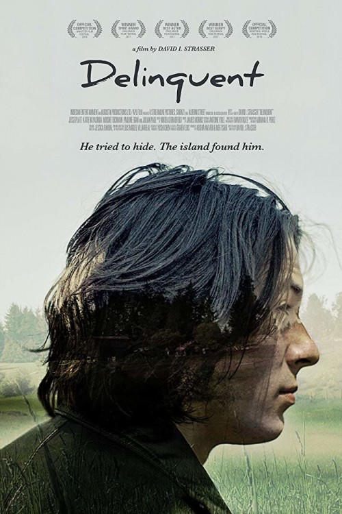 Delinquent (2016) poster