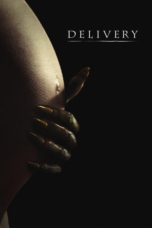 Delivery (2013) poster