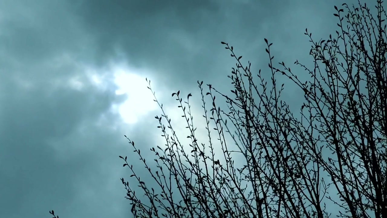 Delusion screenshot 1
