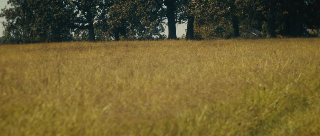 Demo screenshot 2