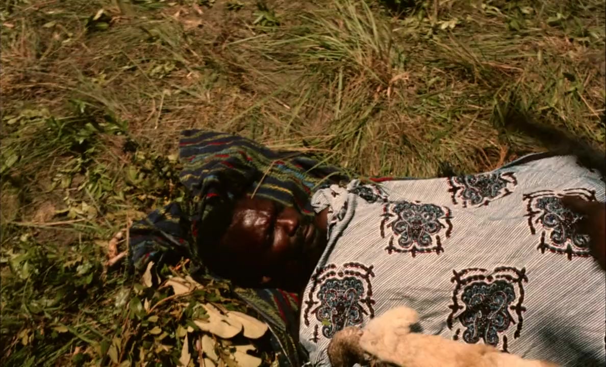 Der Leone Have Sept Cabeças screenshot 1