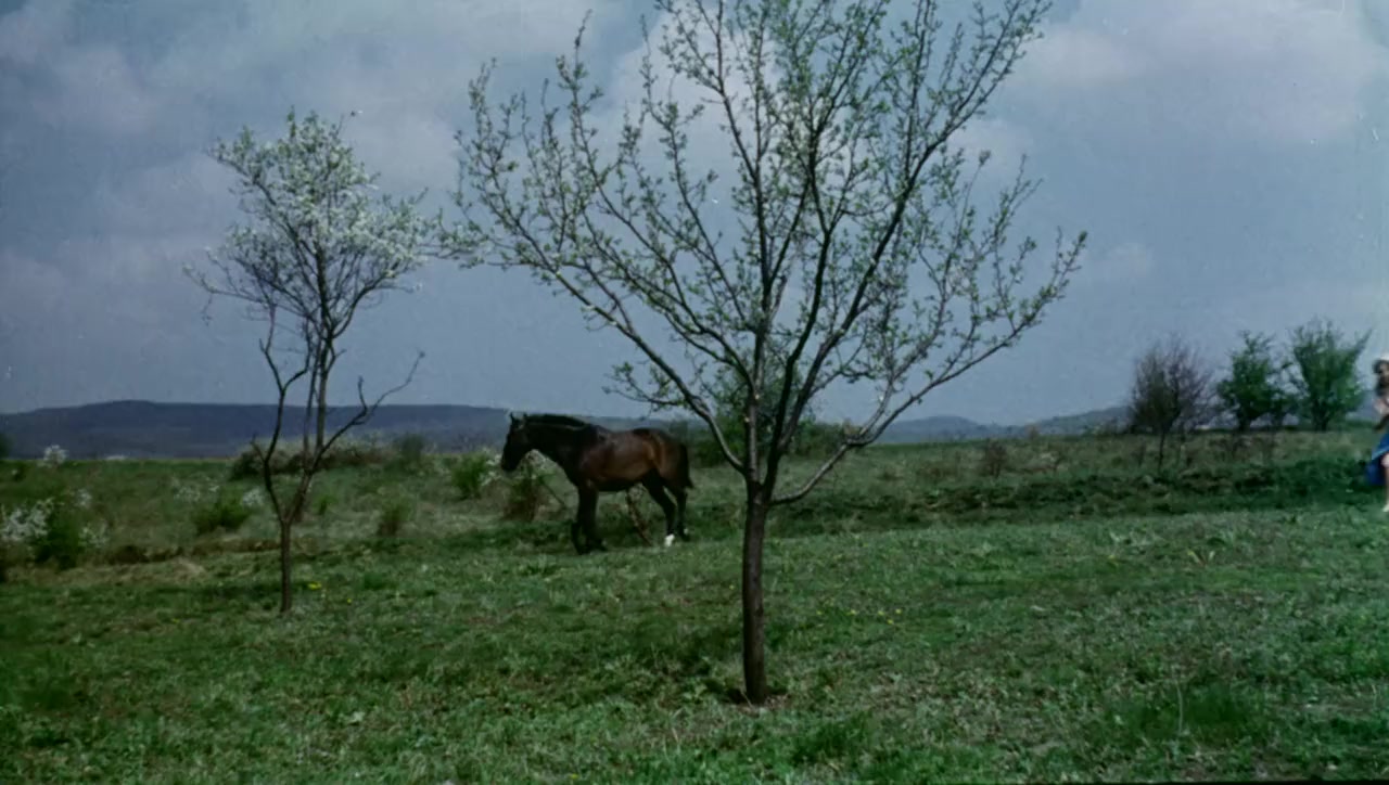 Der Turm der verbotenen Liebe screenshot 3