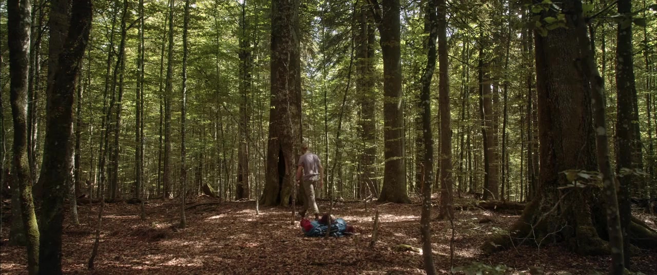 Der Wilde Wald screenshot 1