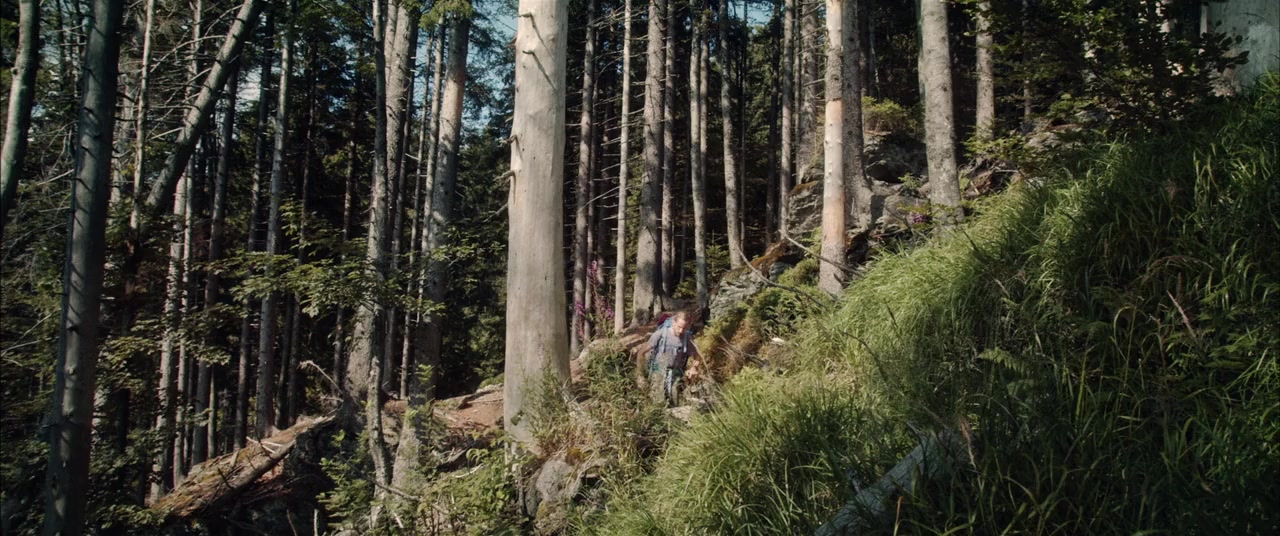Der Wilde Wald screenshot 2