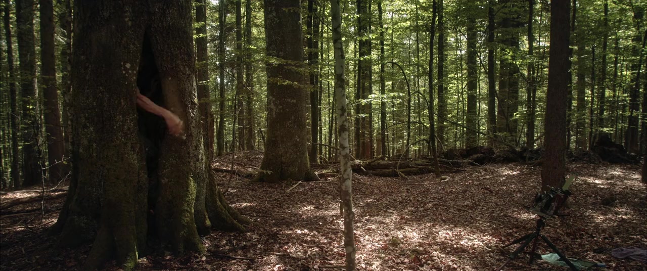 Der Wilde Wald screenshot 3