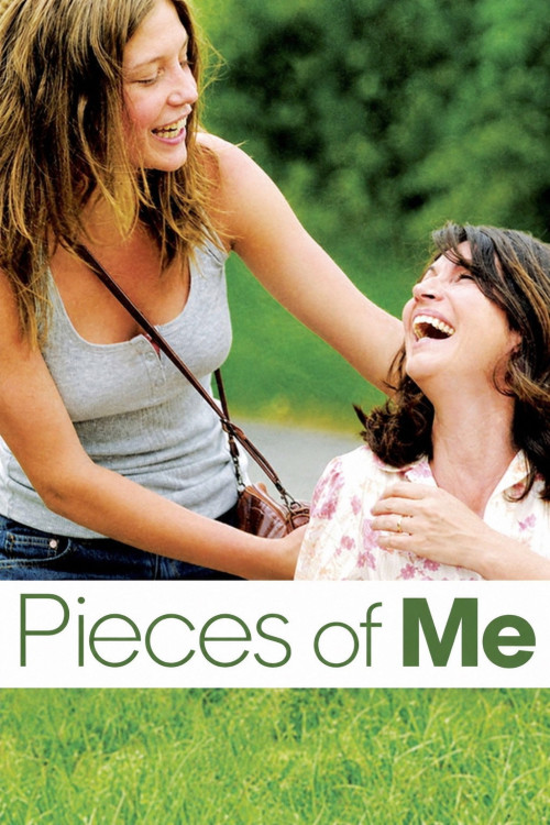 Des morceaux de moi (2012) poster