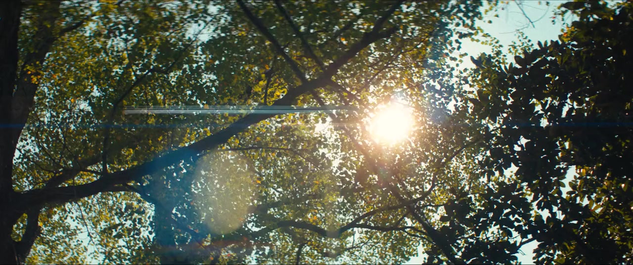 Descendant screenshot 1