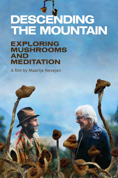 Descending the Mountain (2021) poster